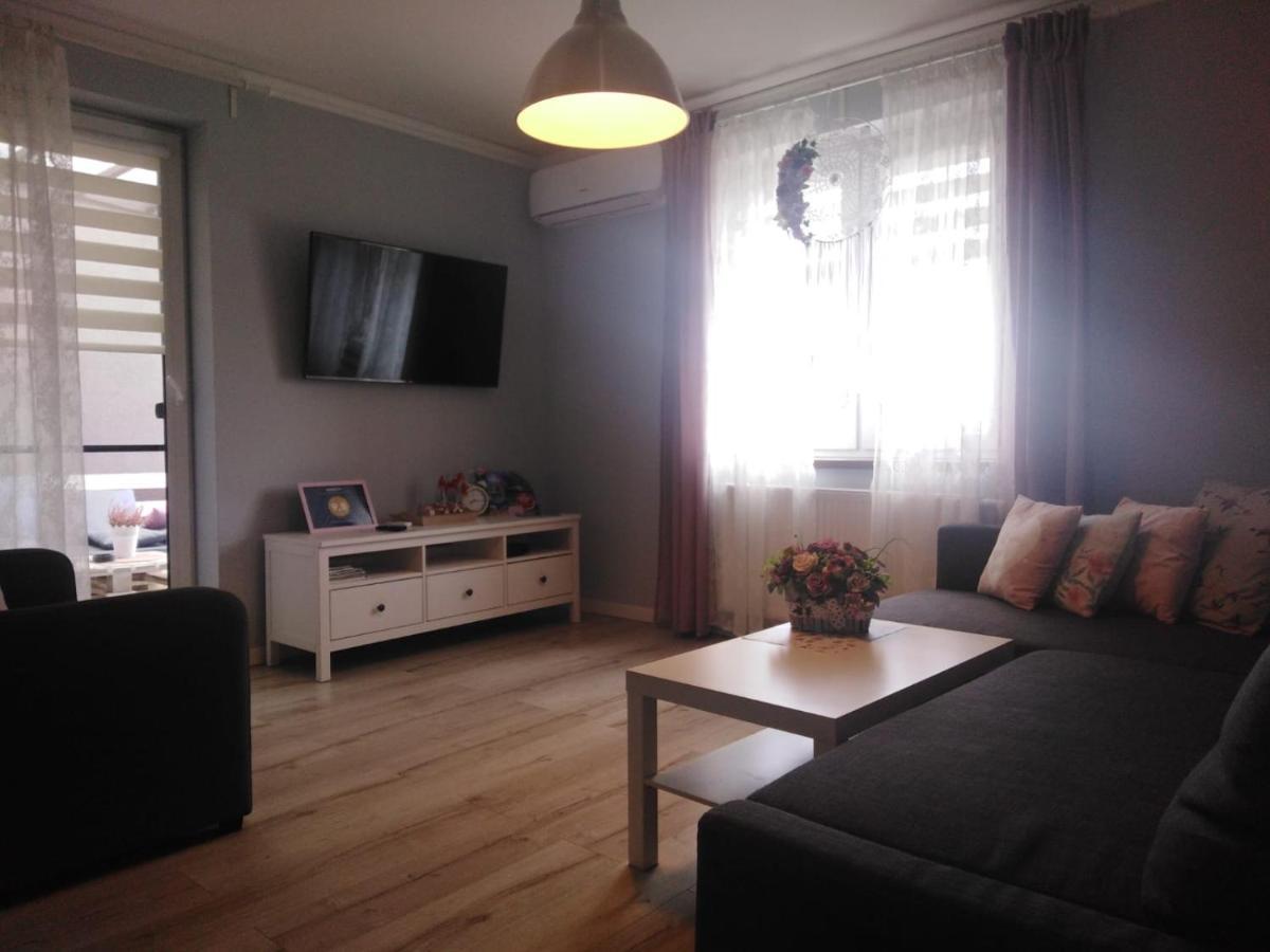 Apartament Antek Klimatyzowany 奥斯威辛 外观 照片