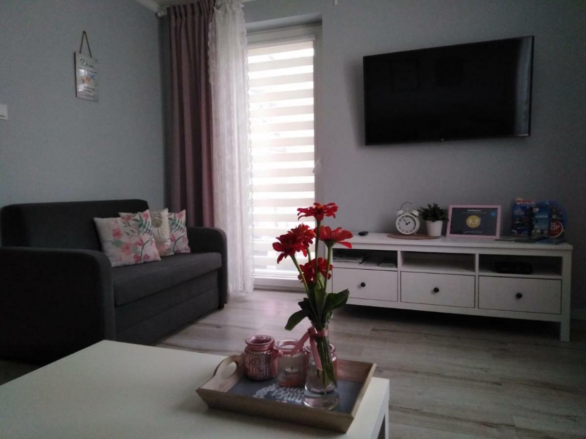 Apartament Antek Klimatyzowany 奥斯威辛 外观 照片